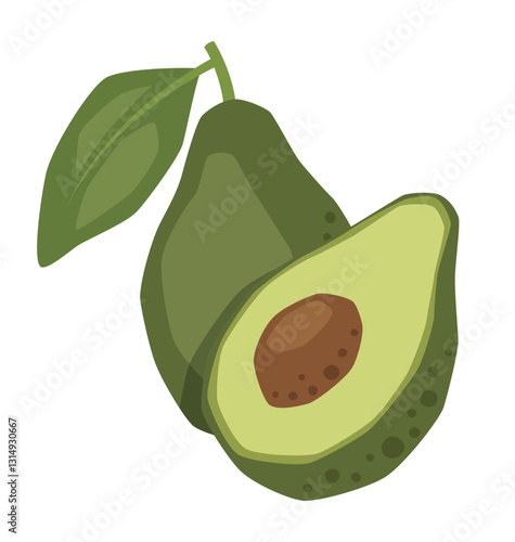 Vector isolated whole avocado with half avocado