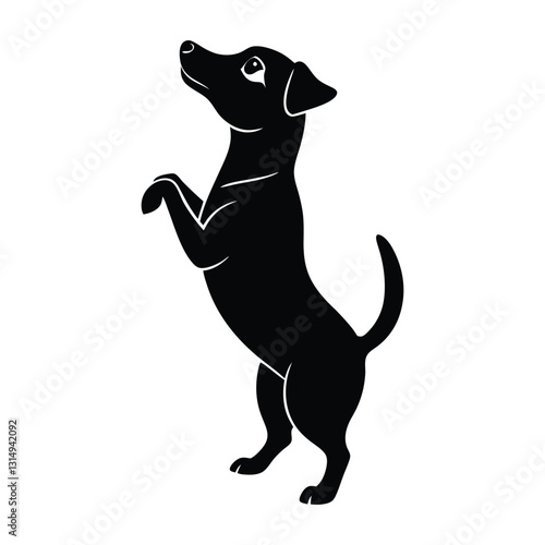 Small Dog Standing on Hind Legs Begging Silhouette for Pet Stock