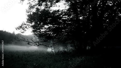 Mysterious appearance of a female ghost in an foggy woods