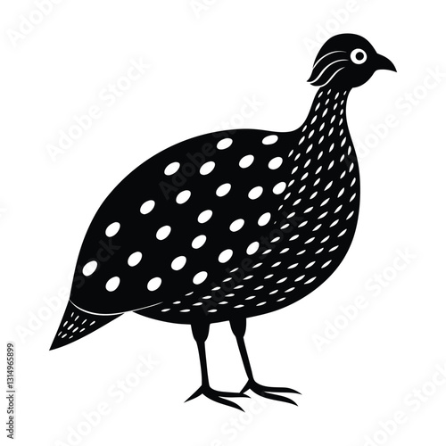 Guinea fowl standing with spotted body silhouette on white design