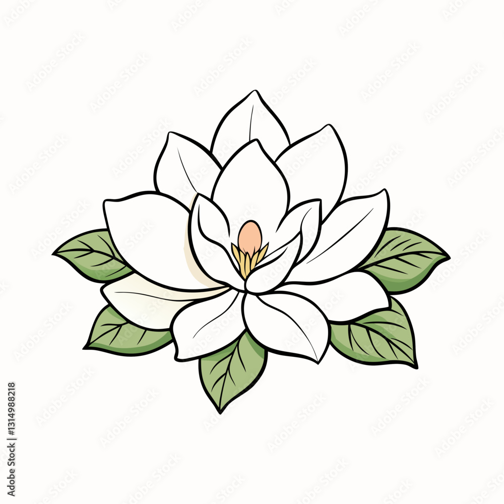 vector illustration of lotus flower vector illustration of lotus flower