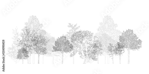 Architectural Drawings, Minimal style cad tree line drawing, Side view, set of section wetland forest outline for landscape design drawing. Vector illustration in seperate element