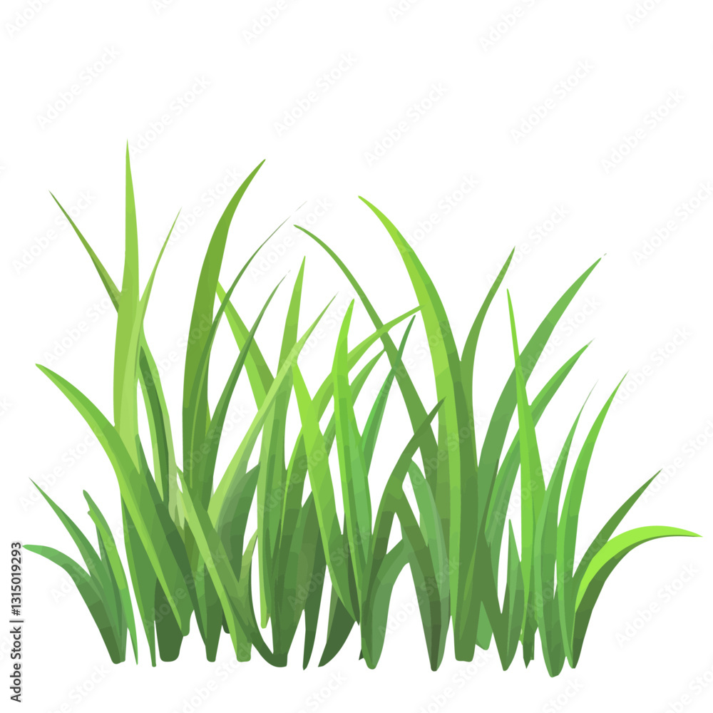 2D flat vector illustration soft green grass growing in spring icon isolated on a white background.
2D flat vector illustration soft green grass growing in spring icon isolated on a white background.