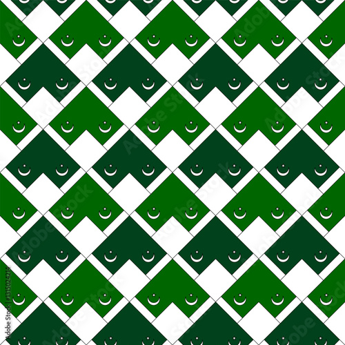 chevron arrow pattern of pakistan flag. geometric background. vector illustration