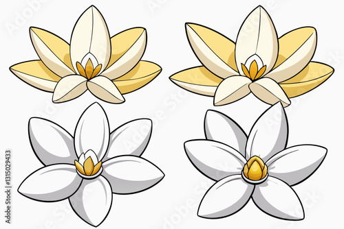 Vanilla Floral Elements: A collection of elegant vanilla flowers, perfect for culinary and design projects, offering a touch of exotic beauty.