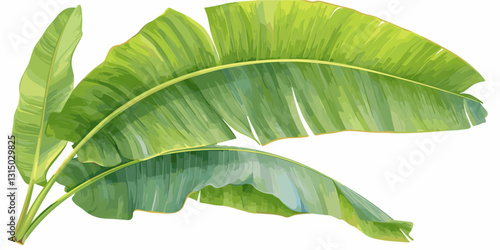 Tropical banana leaves icons set in flat style - vector illustration of green foliage.