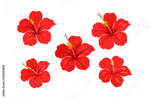 Red hibiscus flower vector illustration with floral pattern and tropical design