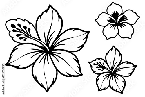  1315030833 - Original name(s): A tropical red hibiscus flower with five broad petals and a protruding stamen, presented in a clean vector style on a white background (19)