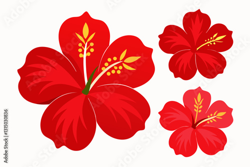 : 1315030836 - Original name(s): A tropical red hibiscus flower with five broad petals and a protruding stamen, presented in a clean vector style on a white background (18