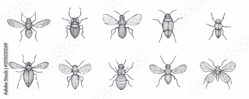 Flat linear insect icons set with various bug illustrations.