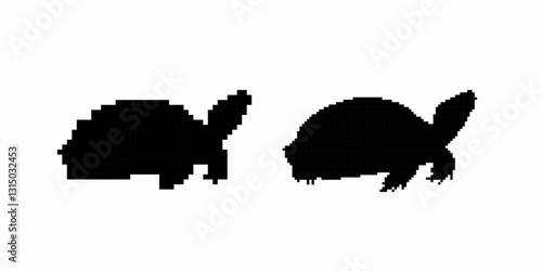 Two turtle silhouettes are shown, emphasizing unique shell shapes and distinct head positions.