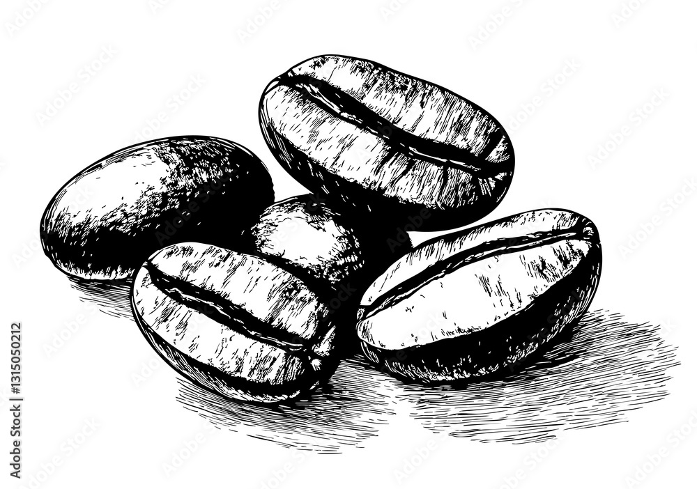 Fototapeta premium Ziarna kawy rysunek