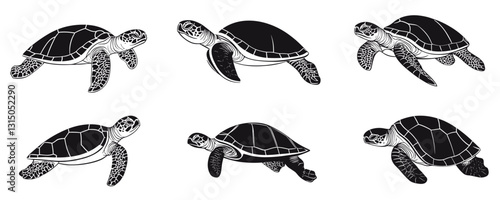 Flat linear icons set of sea turtles - vector style.