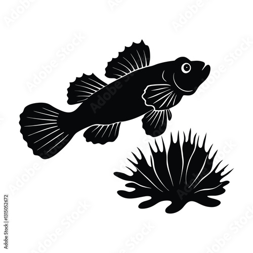 Goby Fish Silhouette Hovering Near Coral With Translucent Fins Spread On White Background