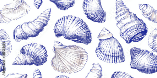 Detailed linear flat icons set of sea shells - vector design.