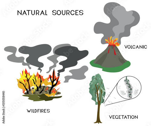 Natural sources of air pollution: wildfire, volcanic eruptions, poplar fluff isolated on white background