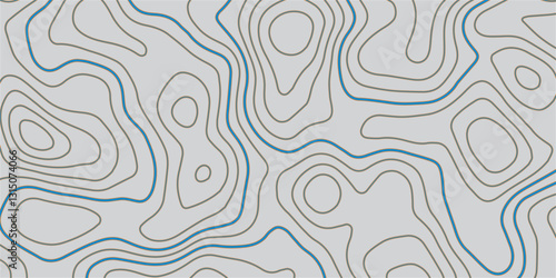 High-Precision Seamless Topographic Mapping with Elevation Details and Geographic Relief for Professional and Enthusiast Use
