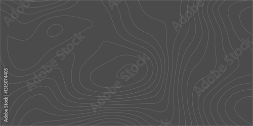 Detailed Topographic Map Illustrations with Fluid Contour Lines, Geographic Relief, and Elevation-Based Terrain Mapping
