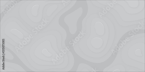 Sophisticated Cartographic Design with Seamless Topographic Linework, Elevation Contours, and Terrain Visualization
