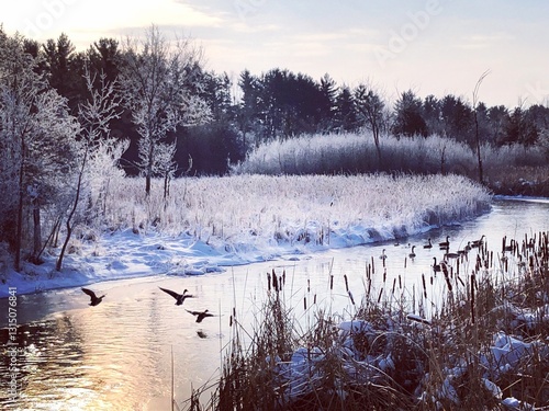 river in winter with birds taking off