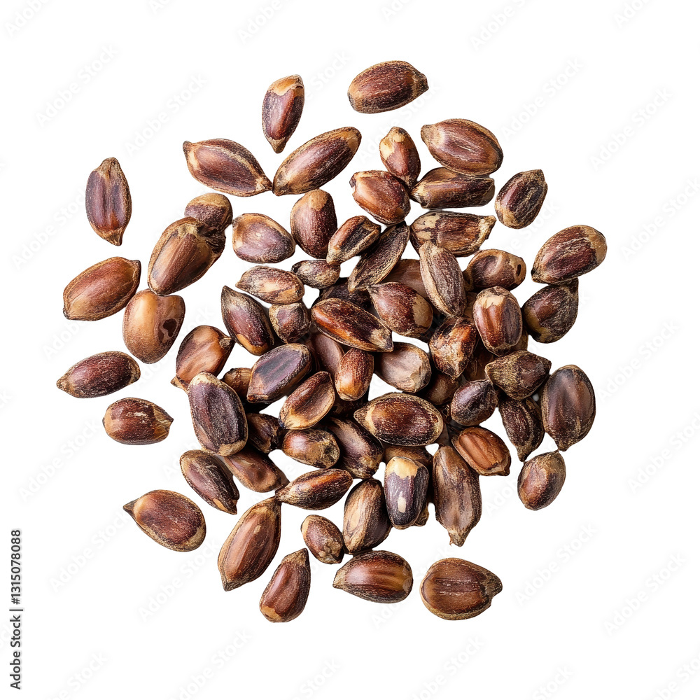 Obraz premium Sato seeds isolated on a Transparent background showcasing their texture and color, Sato seedsisolated on PNG background