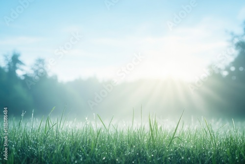 serene landscape bathed in soft morning light with dewy grass and delicate mist weaving through air emblematic of tranquility