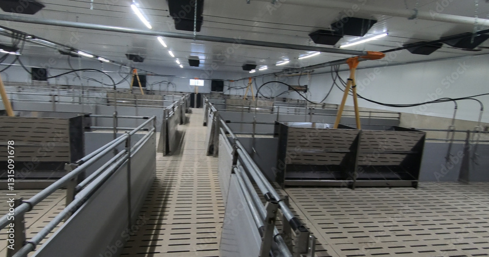 Pens for breeding piglets on a pig farm. Pigsty, pig breeding.