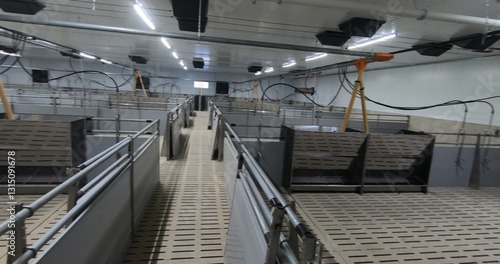 Obraz na płótnie Pens for breeding piglets on a pig farm. Pigsty, pig breeding. w salonie