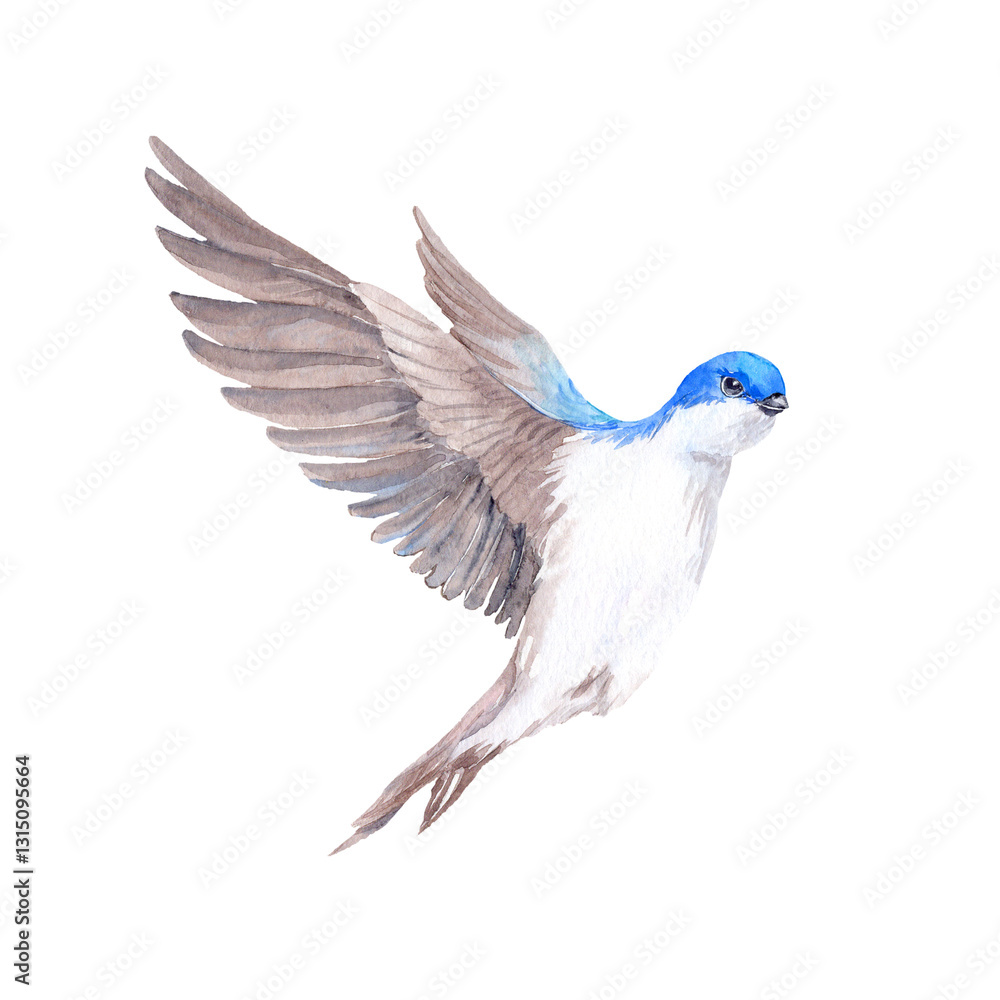 Obraz premium Hand drawn flying swallow birdie