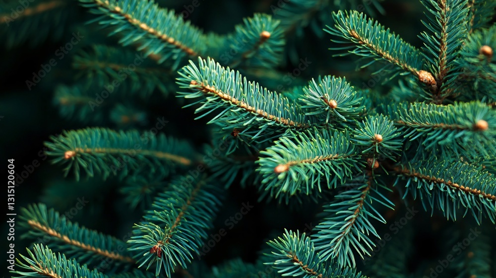Festive Green Pine Tree Christmas Design Festive Green Pine Tree Christmas Design