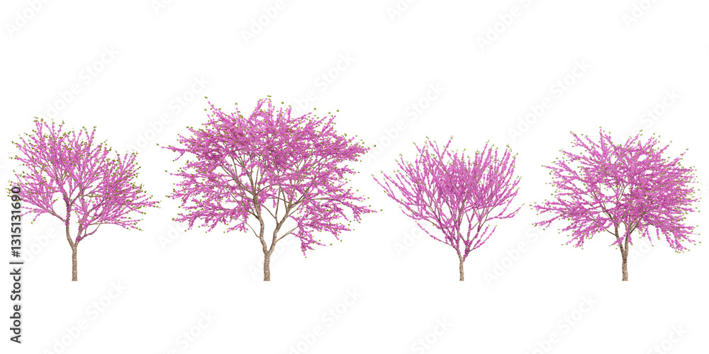 Obraz premium 3d illustration of Cercis trees on transparent background