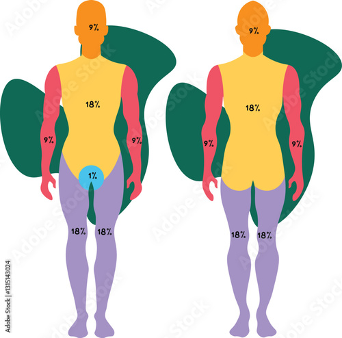 The Wallace Rule of Nines is a clinical tool used to estimate the total body surface area (TBSA) affected by burns in adult patients