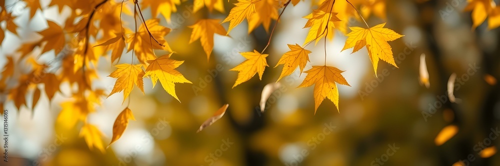 Fototapeta premium Golden Leaves: A captivating composition of vibrant yellow leaves, showcasing the beauty of autumn with a blurred background. 