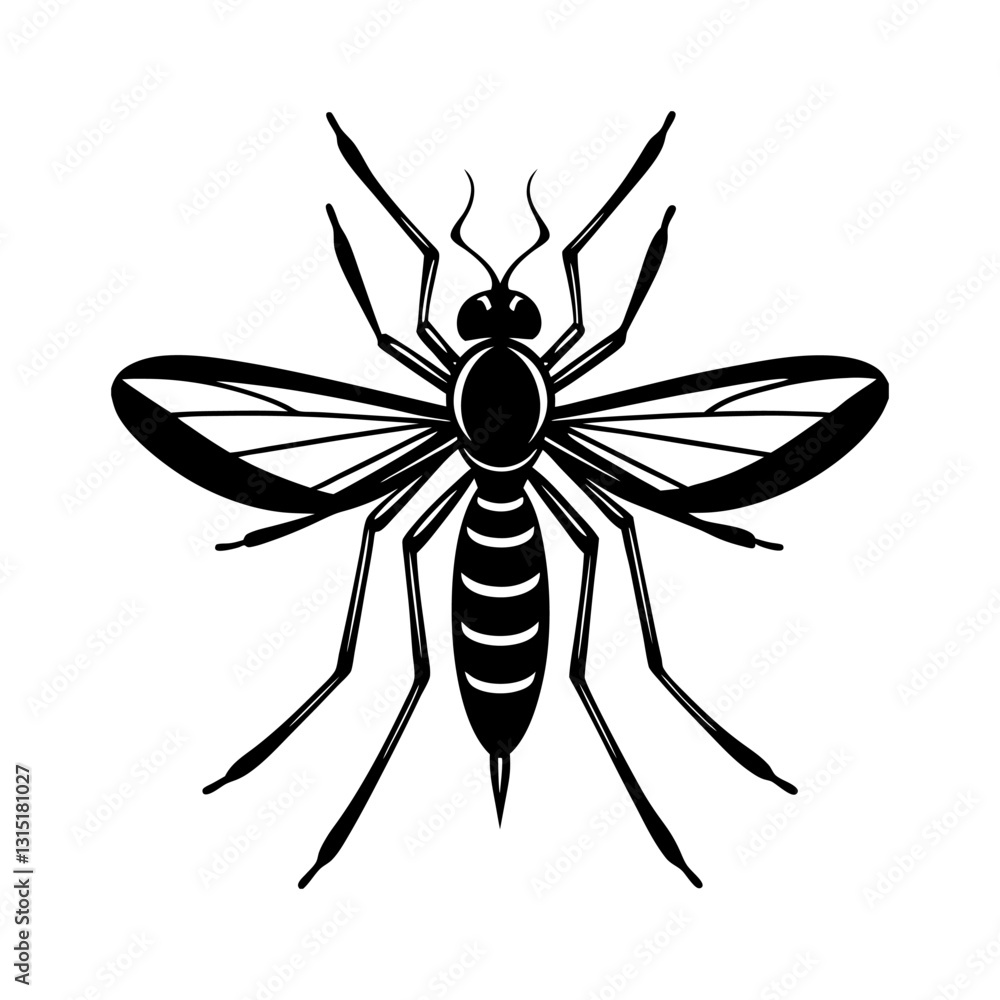 Mosquito Mosquito