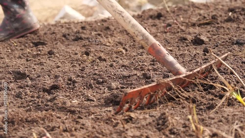 Wallpaper Mural A Man Levels The Soil With A Rake  Torontodigital.ca
