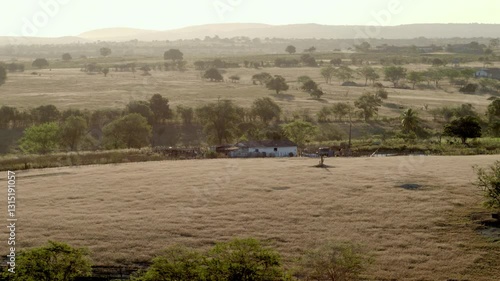 Aerial Bucolic Farm in Rural Surubim with Flying Birds, Pasture, Trees, and Forest

