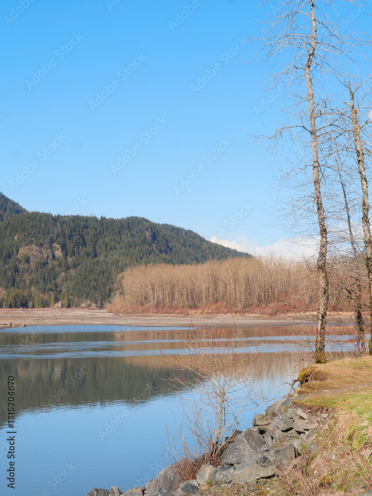 Beautiful view of the Fraser River at Island 22 Regional Park during a winter season in Chilliwack, British Columbia, Canada Beautiful view of the Fraser River at Island 22 Regional Park during a winter season in Chilliwack, British Columbia, Canada