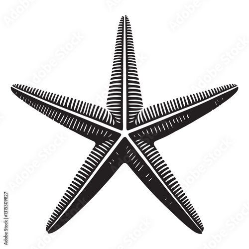 Detailed starfish silhouette marine life vector illustration design