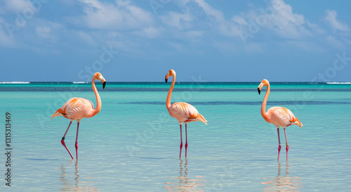 Three pink flamingos standing gracefully in crystal-clear tropical water under a bright blue sky.