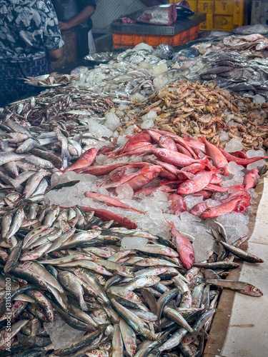 Fresh Seafood Market in Kerala with a Variety of Fish and Prawns