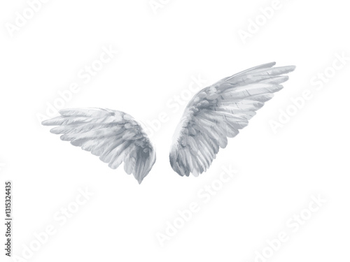 angel wings