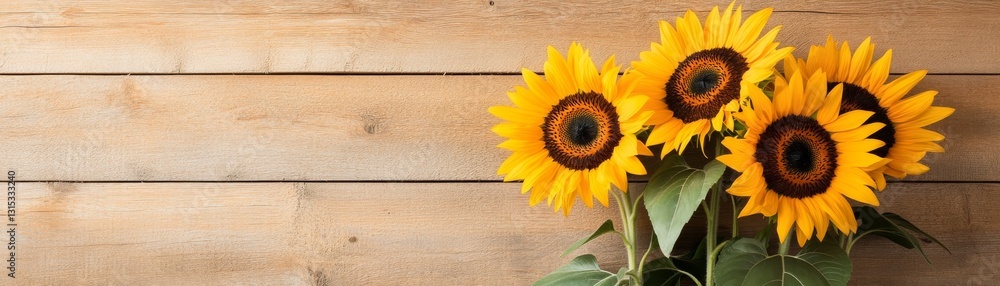 Obraz premium Warm nostalgic feel of sunflowers against a wooden barn wall