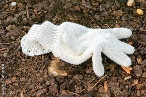 Obraz na plátne Unused white glove resting on gravel path surrounded by nature on a sunny day