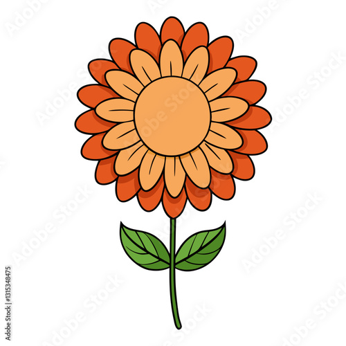 chrysanthemum flower color vector illustration. Illustration of nature flower spring and summer. Color flower vector illustration 