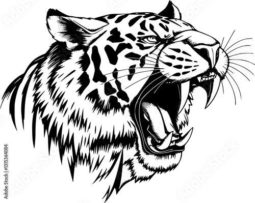 Roaring tiger in engraving style. Vintage black and white vector illustration of a fierce wild animal.