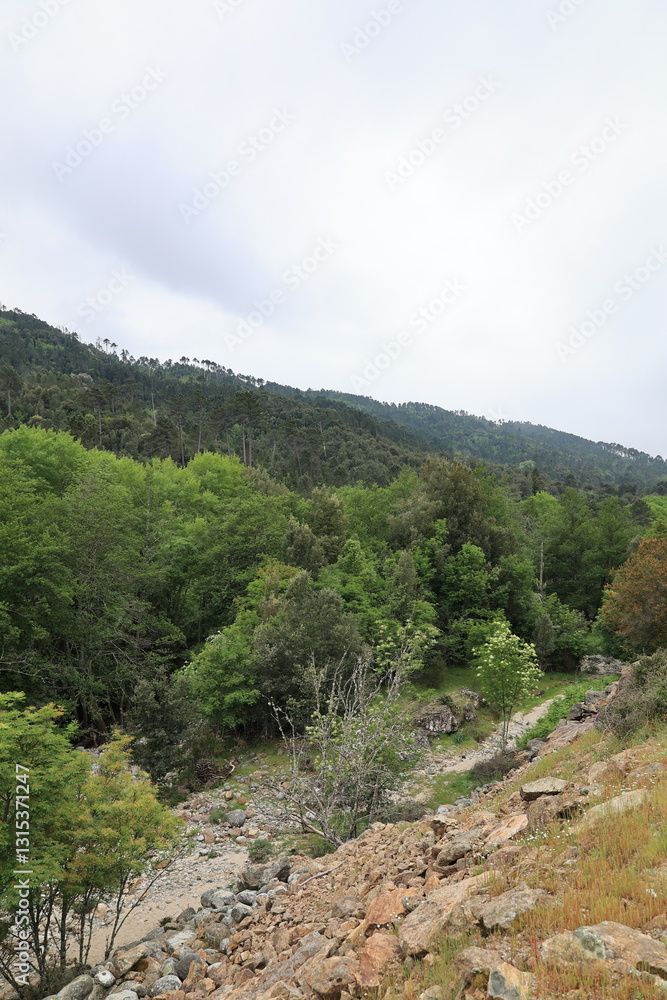 Blick auf die Berglandschaft der Französichen Mittelmeerinsel Korsika	