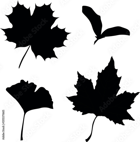 Vector black silhouettes of different autumn leaves such as maple leaf and other