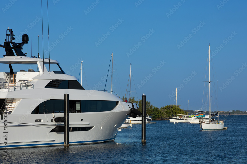 Fototapeta premium luxury yachts in the marina