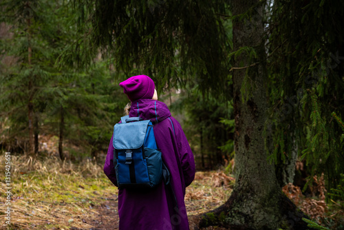 Wallpaper Mural A person in a purple coat and hat walks through a forest of tall evergreen trees, carrying a blue backpack. The ground shows moss, grass, and dry leaves. Torontodigital.ca