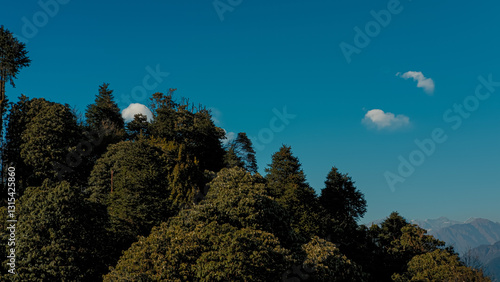 GHOREPANI, NEPAL - JANUARY 9, 2025: Lush green trees forest during golden hour in Ghorepani in Nepal showcasing natural beauty and mountains on horizon, blue sky.